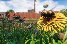 Obsidian confirma que insetos voadores estão a caminho de Grounded
