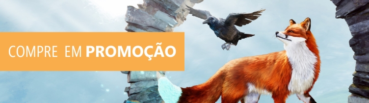Nossa nota para Spirit of the North 2